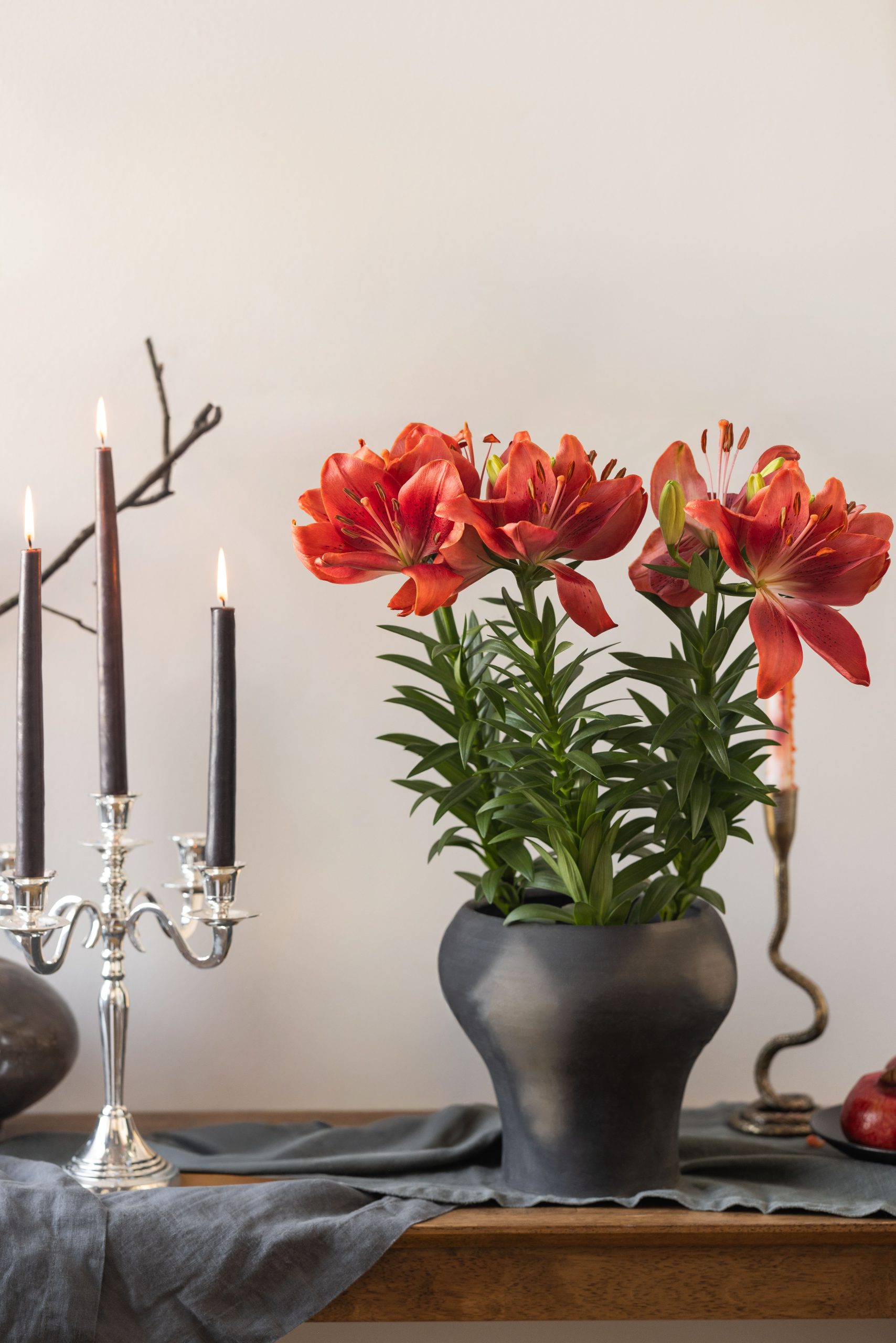 Hybrid Lily - Image 2